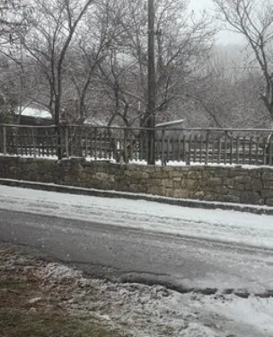 La Frescura Del Principe