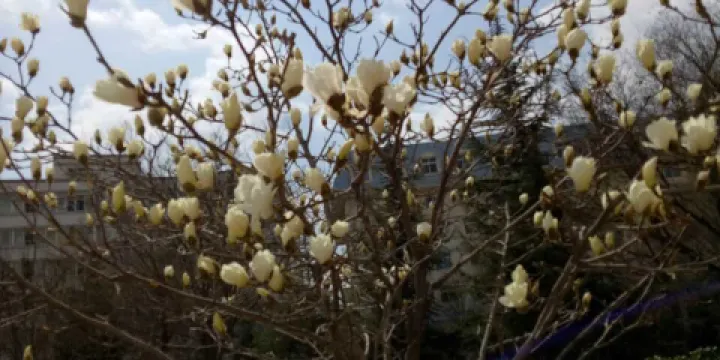 重慶鷄公煲(和平店)