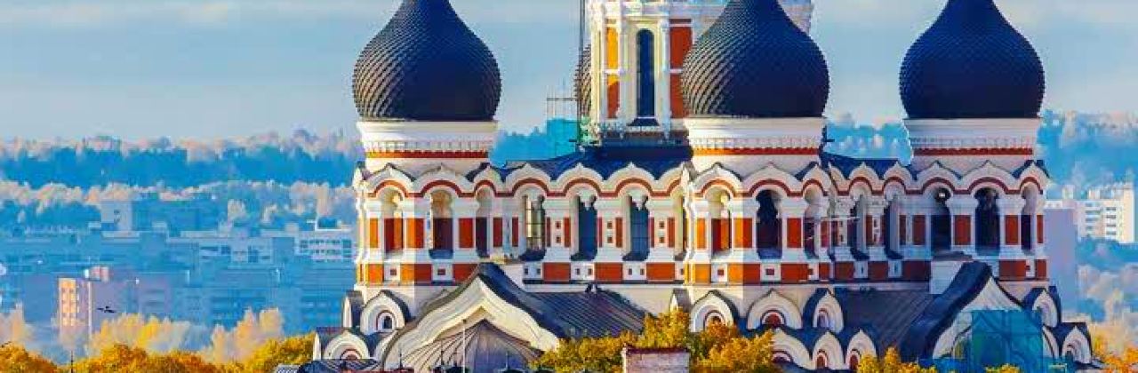 正新鸡排·炸鸡烧烤(新密雄飞店)