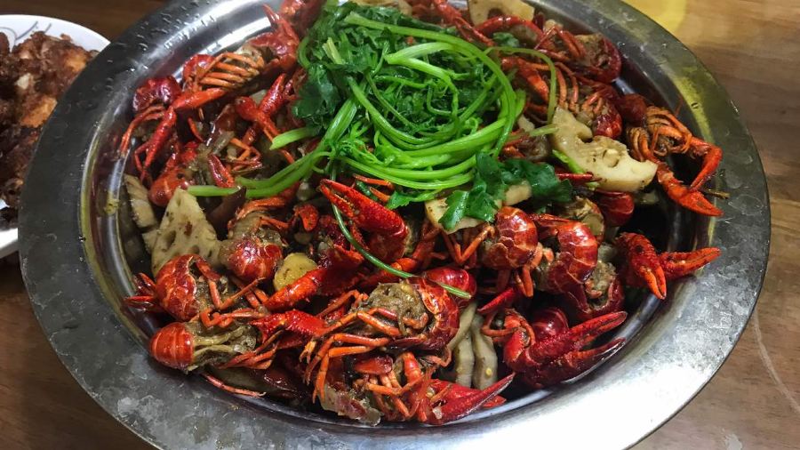 KEN DE JI MO XIANG CHENG DIAN