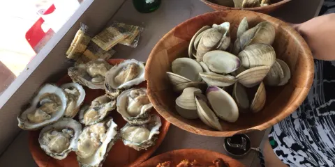 Tarks Of Dania Beach