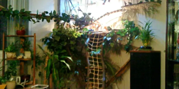 Winking Lizard Tavern