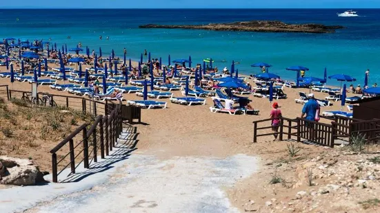 Fig Tree Bay Antonis Zefkas Restaurant