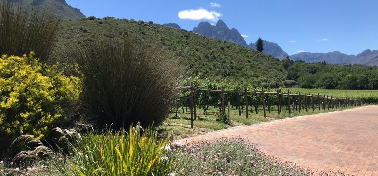 Postcard Café at Stark-Condé Wines