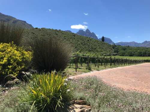 Postcard Café at Stark-Condé Wines