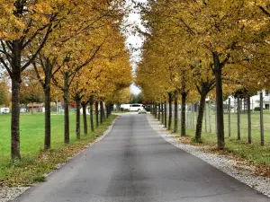 Ferienhof Tiergarten