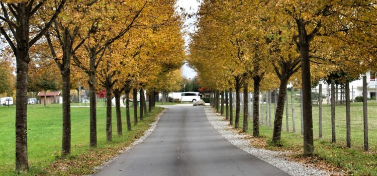 Ferienhof Tiergarten