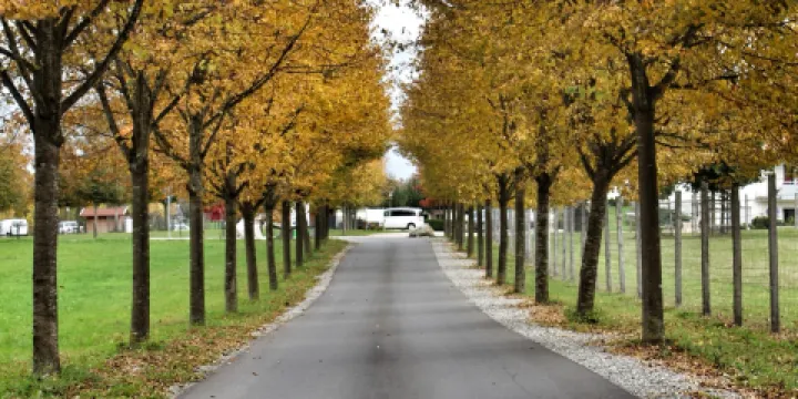Ferienhof Tiergarten