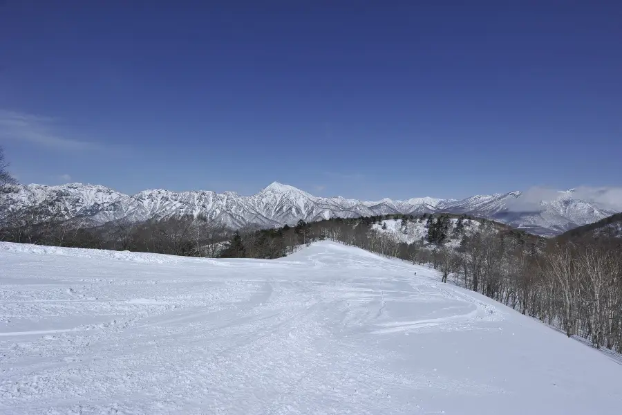 戶隠滑雪場