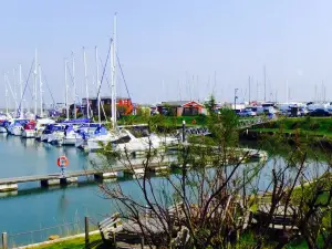 Harbour Lights