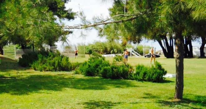 Molos Beach Bar