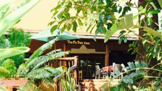 Fig Tree Cafe & Deli