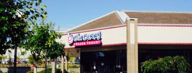 Blu Berry Frozen Yogurt - Silverdale