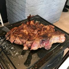 Hippopotamus User Photo