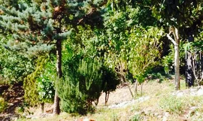 Bar Ristoro Greccio 2000