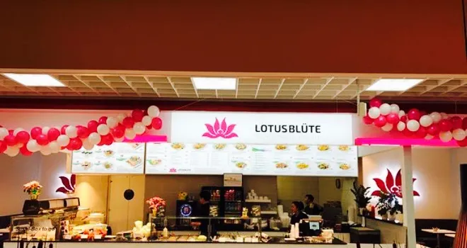 Lotusblüte im Kaufland