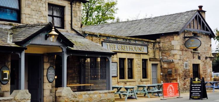 The Greyhound