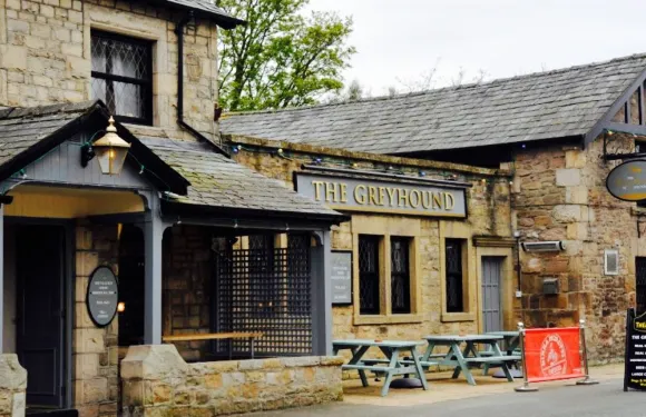 The Greyhound