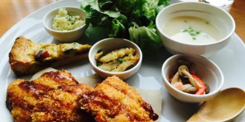 Struthio Camelus Cafe Tsunagu