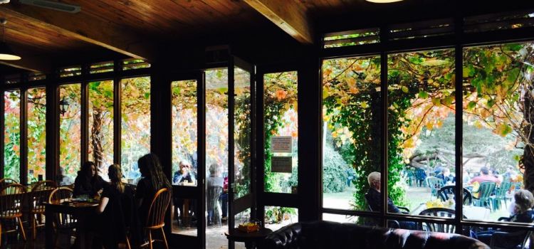 The Cidery