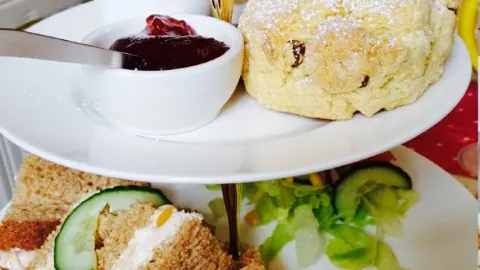 The Mad Hatters Tearooms in Coldstream