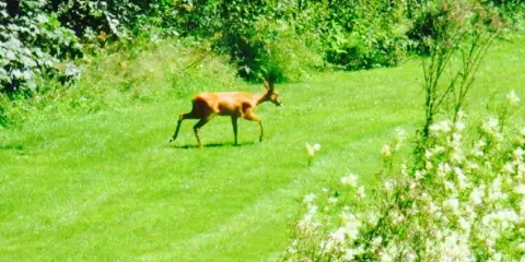 Moulin Minguet-Ferme de la Reine des Pres