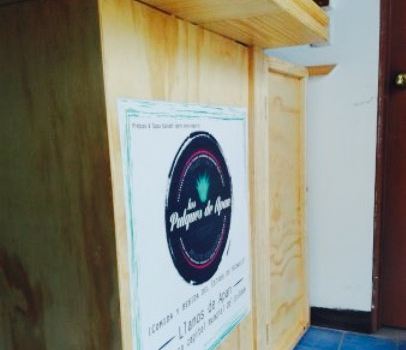 Los pulques de Apan