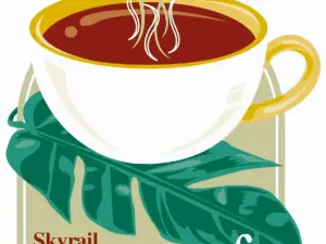 Skyrail canopy cafe