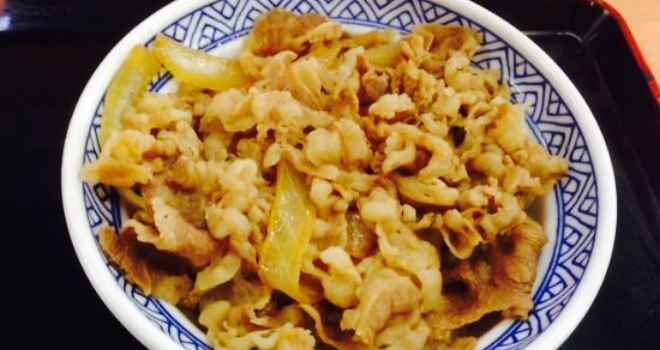 Yoshinoya Route 1 Shimada