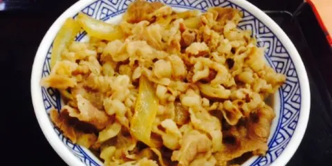 Yoshinoya Route 1 Shimada