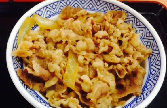 Yoshinoya Route 1 Shimada