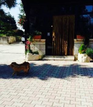 Il Nido Del Falco