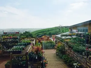 Homeleigh Garden Centre