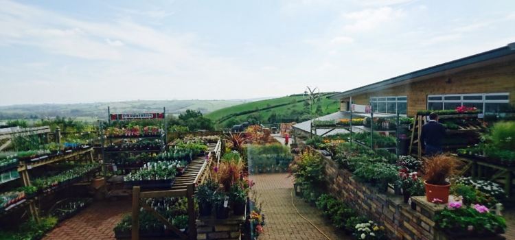 Homeleigh Garden Centre