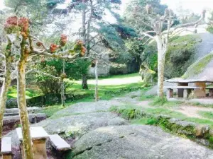 Bar Monte Aloia