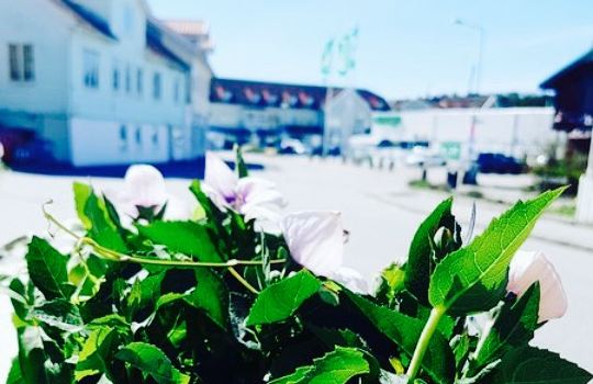 Grannen Bistro & Bar