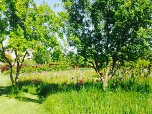 The Vinehouse Cafe at Helmsley walled Garden