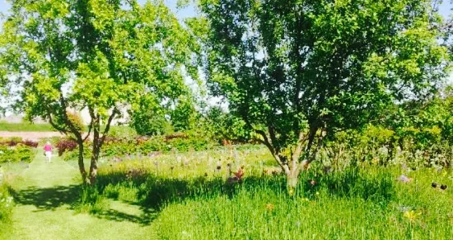 The Vinehouse Cafe at Helmsley walled Garden