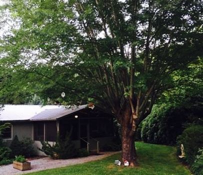 Beechwood Inn