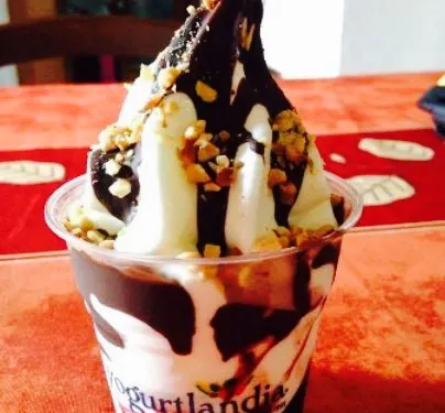 Yogurtlandia San Vito