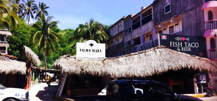 Palma Negra