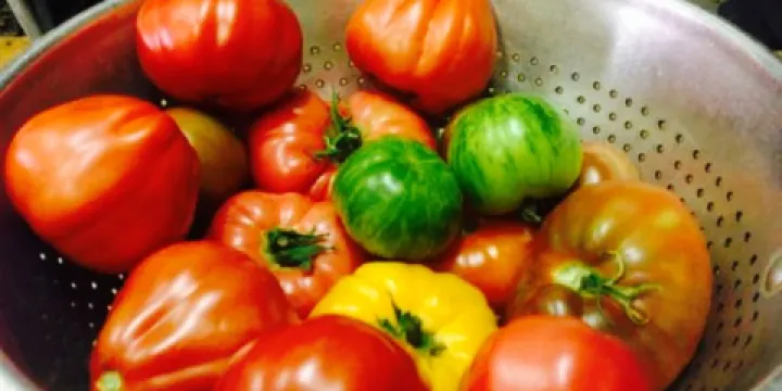 The Winery Restaurant - Grand Junction's Steakhouse