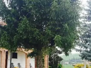 Le Due Cascine Agriturismo