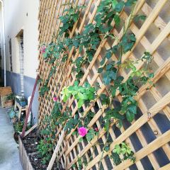慶元縣三丘田休閑農莊張用戶圖片
