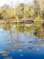 Lichterman Nature Center