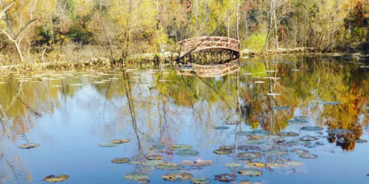 Lichterman Nature Center