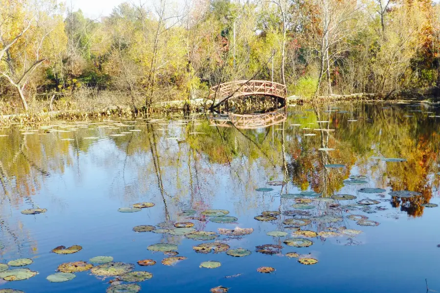 Lichterman Nature Center