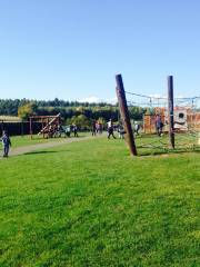 Active Kids Adventure Park