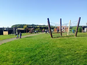 Active Kids Adventure Park