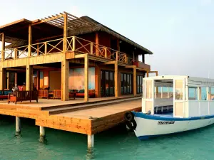 Coral Bar & Lounge
